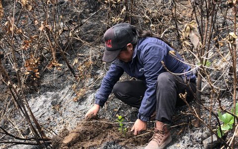 La comunidad se unió a la campaña de reforestación en la comunidad de Tangan.