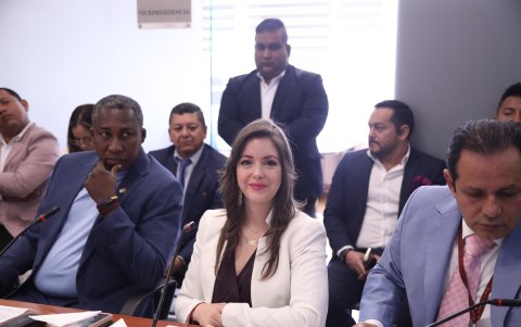 La asambleísta del correísmo, Mónica Palacios, fue quien increpó a la presidenta de la Comisión de Biodiversidad por el tema Quimsacocha.