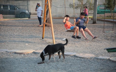Otro ámbito que se critica es que la ciudadanía no recoge el excremento de sus perros.