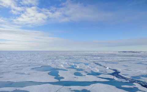 El hielo marino del Ártico se derrite a un ritmo sin precedentes.