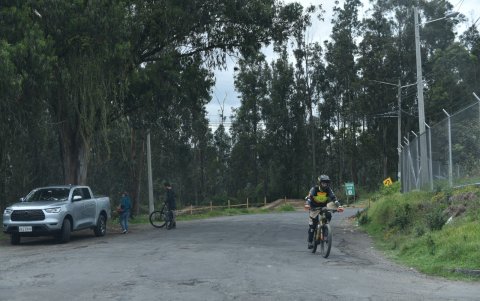 El bosque es un destino codiciado por ciclistas que practican downhill.