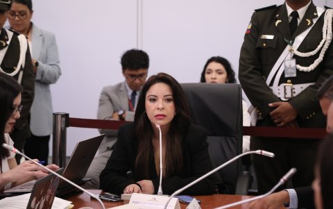 La correísta Pamela Aguirre presidente la Comisión de Fiscalización.
