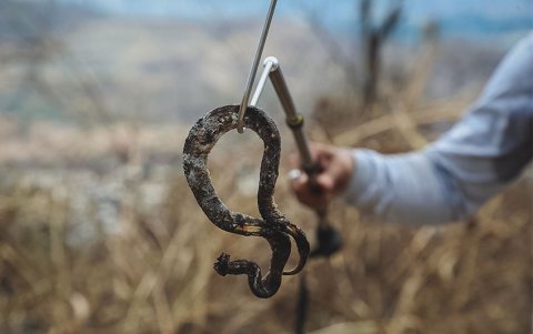 Una serpiente calcinada, en Cerro Azul.