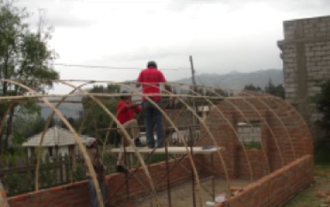 Crean invernaderos con materiales transparentes para obtener condiciones artificiales