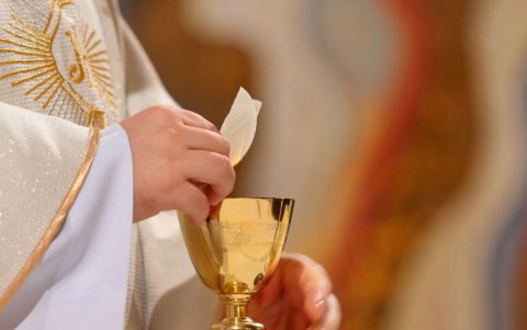 La hostia es un trozo de pan ácimo de trigo, de forma circular, que se ofrece en la eucaristía como sacrificio incruento, sin derramamiento de sangre.