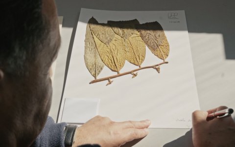 El documental de Manolo Sarmiento se presentó en los EDOC.