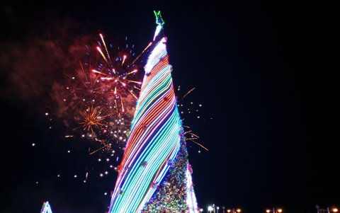 Celebración. Con el encendido del árbol los presentes festejaron.