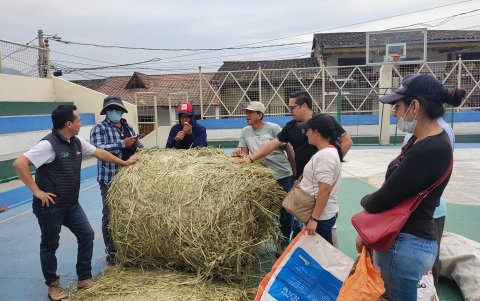 Líderes y autoridades del sector buscan la reactivación