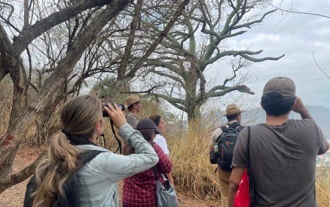 El conteo de aves navideño atrajo a especialistas, estudiantes, y aficionados y amantes de la naturaleza local.