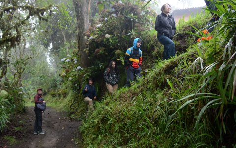 El senderismo y el trekking son algunas de las actividades preferidas para el fin de semana.