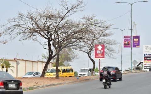 Mantenimiento. La vegetación de la parroquia no recibe el cuidado necesario para prevalecer y no morir. Los habitantes exigen mayor inversión en mantenimiento.