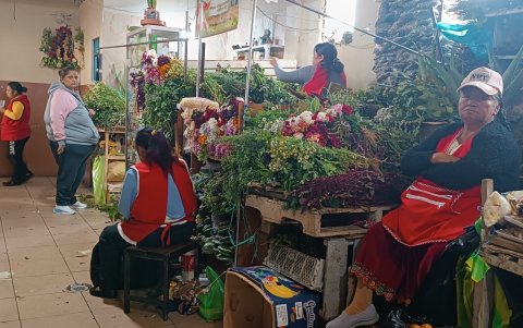 Cada baño se realiza con el agua de al menos una decena de plantas medicinales.