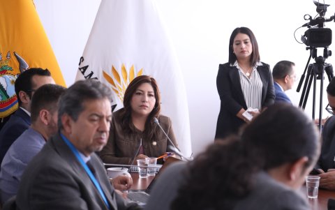 La oficialista Inés Alarcón preside la mesa de Seguirdad.