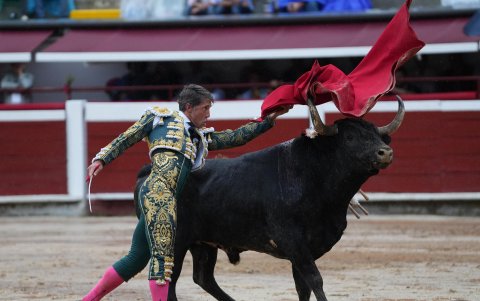 El torero español Manuel Escribano lidia al toro Peregrino de la ganadería Campo Real, este lunes durante la Feria de Cali, en Cali (Colombia).