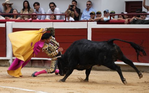 El torero colombiano Luis Bolívar lidia al toro 'Plomero' de la ganadería Ernesto Gutiérrez, durante la primera corrida de la Feria de Cali este jueves, en Cali (Colombia).