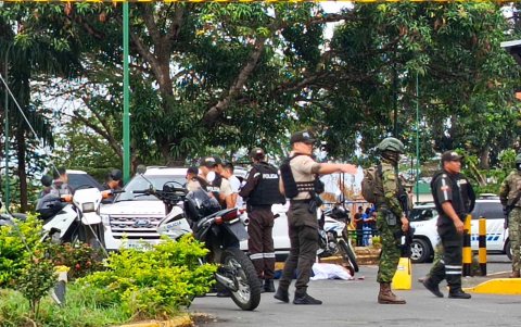 Tarea. Varias acciones policiales buscan erradicar la inseguridad en la ciudad.