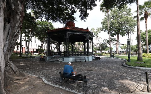Centro. El parque Seminario, también conocido como de las Iguanas, es un sitio fijo de paseo para los turistas foráneos. Está ubicado junto a la Catedral, que ha sido renovada.