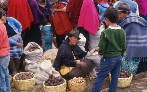Imágenes de fiestas de pueblo, y del día de mercado son algunas de las apuestas que García ha retratado durante cuatro décadas.