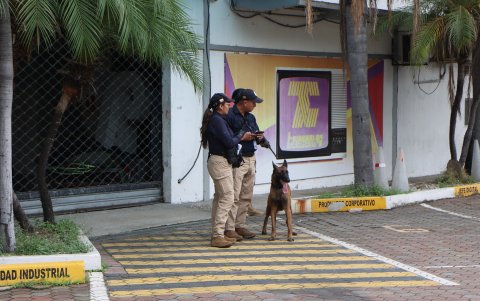 La Policía Nacional estuvo con canes especializados dentro de las instalaciones de TC Televisión.