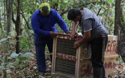 La Fundación Proyecto Sacha extiende su impacto hacia las comunidades rurales