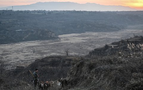 El cazador Liu Qi y a sus perros de caza buscando jabalíes en la montaña de Weinan, en la provincia de Shaanxi, en el norte de China.