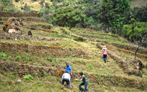 Hay un columpio turístico que permite disfrutar de impresionantes vistas panorámicas de los valles y montañas de la parte alta de El Oro.