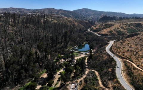 Esta vista aérea muestra el avance de la reforestación de un área afectada por el incendio forestal de febrero pasado en el Jardín Botánico de Viña del Mar, Chile, el 18 de diciembre de 2024.