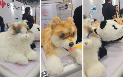 MetaCat son perfectos para personas que no pueden cuidar de una mascota tradicional.