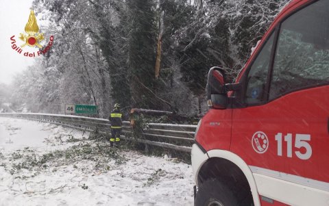 El temporal dejó nevadas en altitudes bajas y fuertes rachas de viento que provocaron la caída de árboles y el cierre temporal de escuelas de la región de Campania (sur), la más afectada.