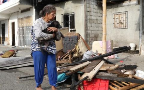 Una de las mascotas de la familia resultó herida por el incendio.