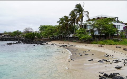 Playa de Oro, en San Cristóbal.