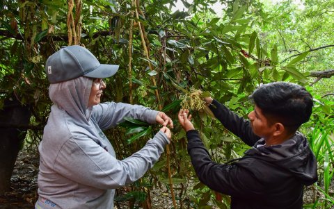 Natalia Molina y Álvaro Torres aprecian aspectos de la especie.