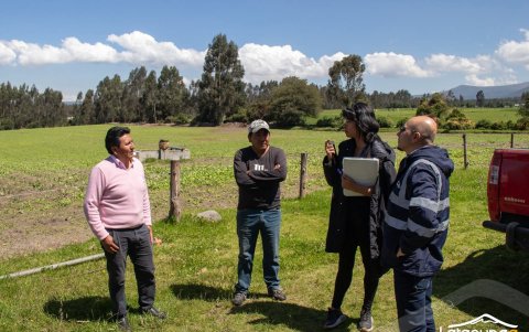 Las autoridades piden que se denuncie a las personas que maltraten o ejecuten de manera cruel a las mascotas.