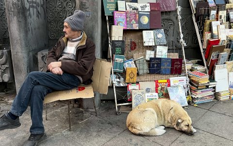 Los perros han sido incorporado sin reticencias al paisaje urbano, convirtiéndolos en las mascotas de todos los tiflisenses.