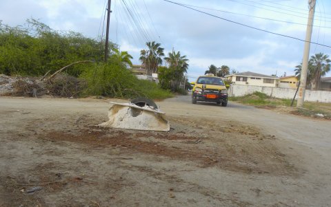 Abandono. Monte y alcantarillas sin tapa sobran en el barrio.