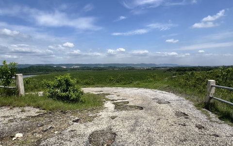 Calzada. El sendero para ascender al mirador presenta hendiduras en varios tramos.
