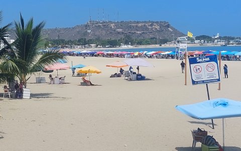Control. En el sitio donde se registró el hecho, no hubo vigilancia de ningún tipo. Hubo quienes se enteraron de lo ocurrido recién al llegar al lugar.