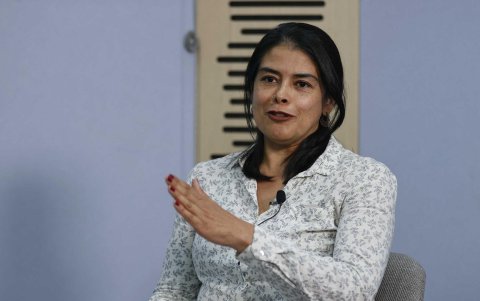 La directora regional de Oxfam para América Latina y el Caribe, Gloria García-Parra, en una entrevista con EFE en Bogotá (Colombia).