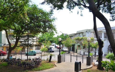 El barrio Orellana es uno de los pocos que tienen árboles en todo el vecindario. Los guayaquileños piden replicar la escena en otros puntos.