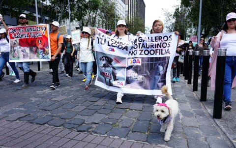 Los animalistas marcharon en compañía de sus mascotas para exigir que se respeten sus derechos