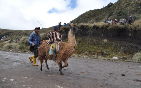 Los jinetes que participan en la carrera son niños de 3 a 13 años.