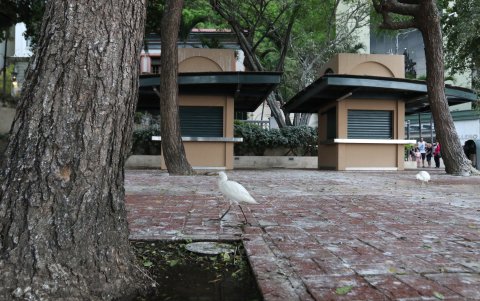 Paisaje. En algunos momentos hasta se puede observar a las aves como parte del paisaje turístico. No a todos les agrada.