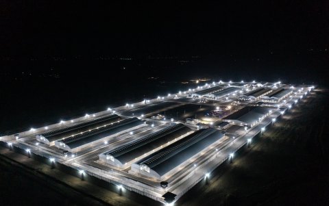 El Cecot ocupa un área de 166 hectáreas en 23 de las cuales se construyeron ocho pabellones, cada uno con 32 celdas con gruesos barrotes de acero.