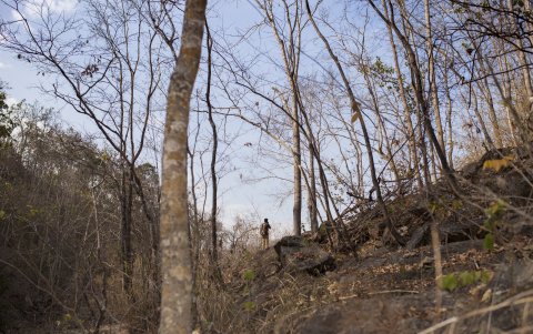la minería ilegal y la contaminación por plásticos afectan la calidad del agua, poniendo en riesgo la salud de comunidades enteras.