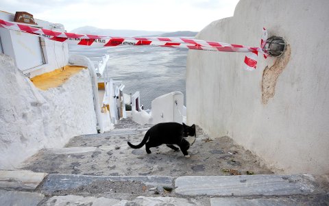 Un gato cruza un cordón policial en el pueblo de Oia en la isla de Santorini, Grecia, el 5 de febrero de 2025