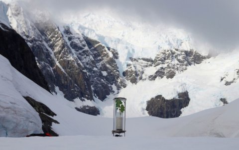 Obra. Las obras de arte Paul Rosera reflejan la contaminación ambiental y los distintos escenarios donde existe la intervención del hombre.