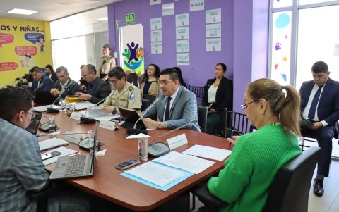 La Comisión de la Niñez de la Asamblea tramitó el informe del caso Las Malvinas.