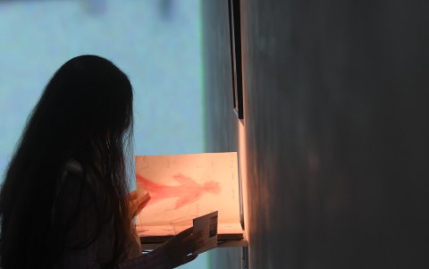 La exposición se podrá visitar hasta el 14 de marzo.