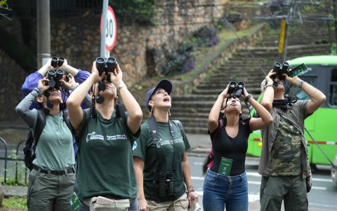 Personas participan durante un recorrido urbano de avistamiento de aves, en Cali (Colombia).