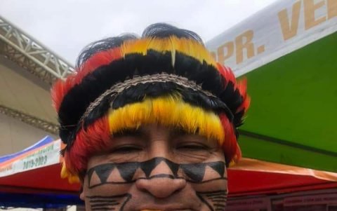 Los chontacuros un regalo de la selva para sanar al cuerpo y el alma, dice los kichwas.